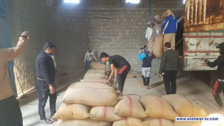 ذي قار تباشر باستلام الحبوب المسوَّقة للموسم الحالي